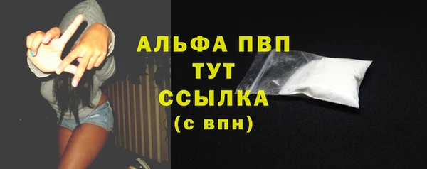 альфа пвп Гусев
