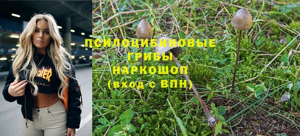 MDMA Гусиноозёрск