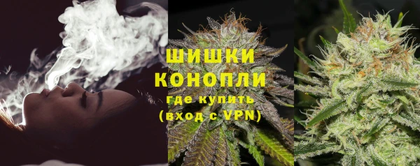 альфа пвп Гусев