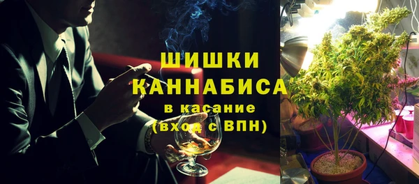 альфа пвп Гусев