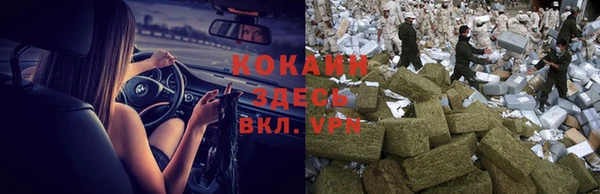 альфа пвп Гусев