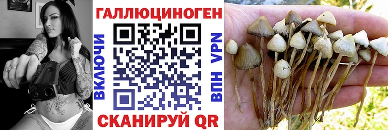 Псилоцибиновые грибы GOLDEN TEACHER площадка как зайти Малаховка где найти